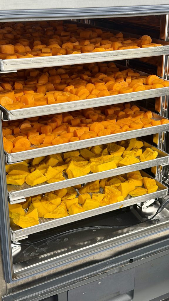 Zucca a cubetti su teglie da forno