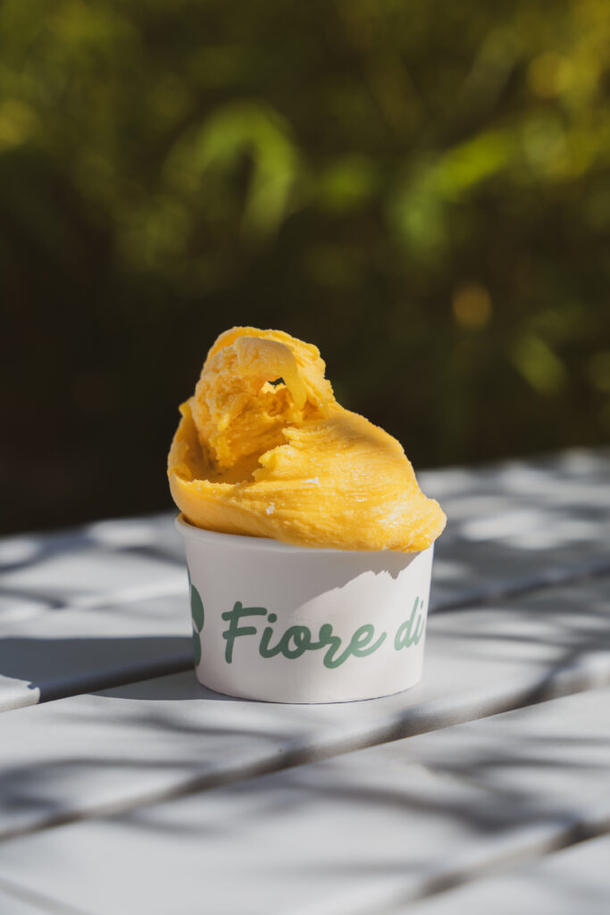 Cremoso Vegetale in coppetta Fiore di Latte, servito all'aperto